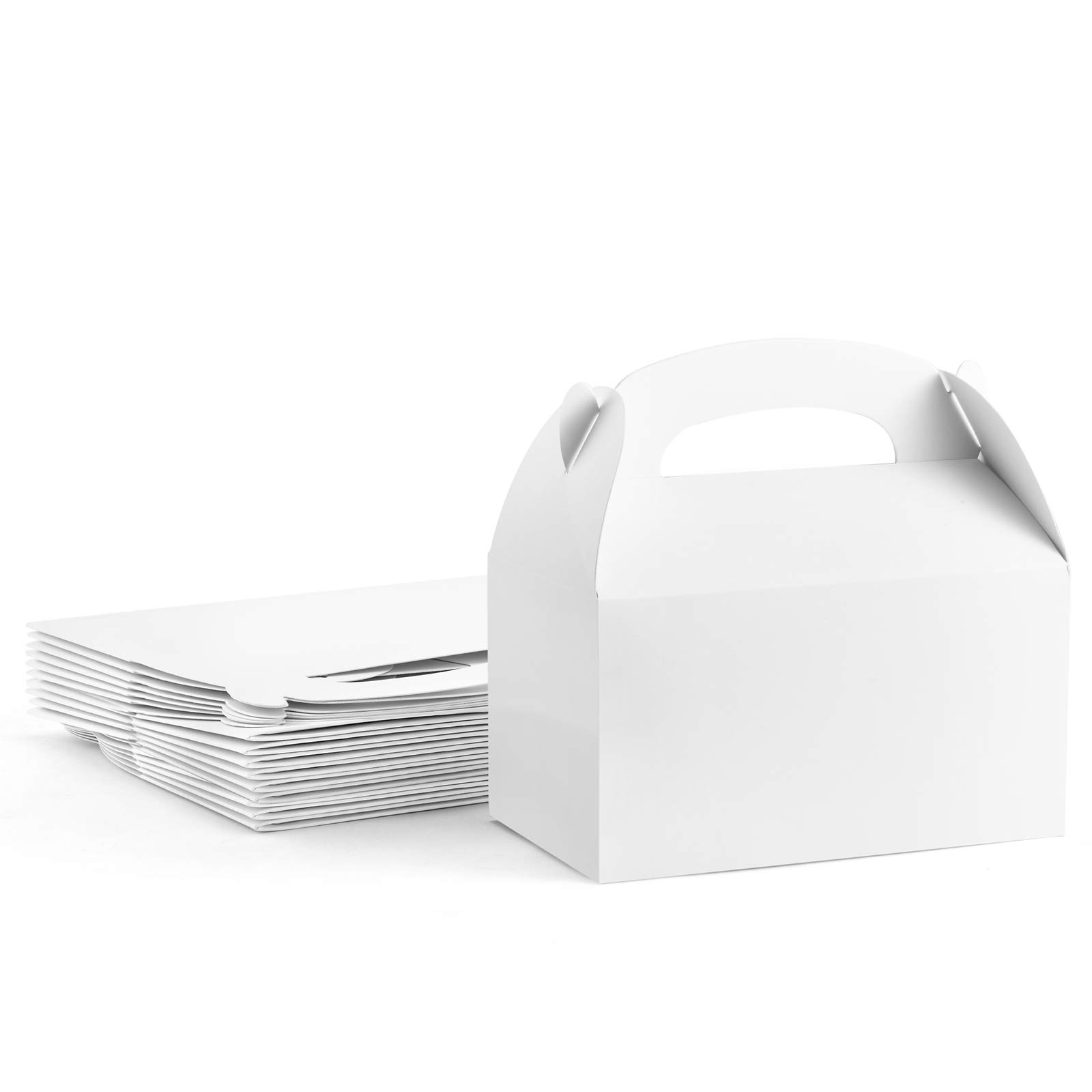 Food Like Snacks - 10 Stuks Grote Gable Dozen Witte