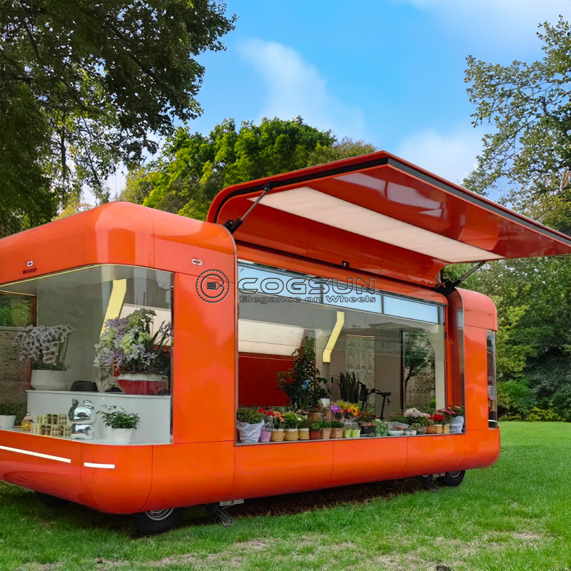 Street Food Snacks - Straat Mobiele Voedselaanhangwagen Pizza Van Ijs