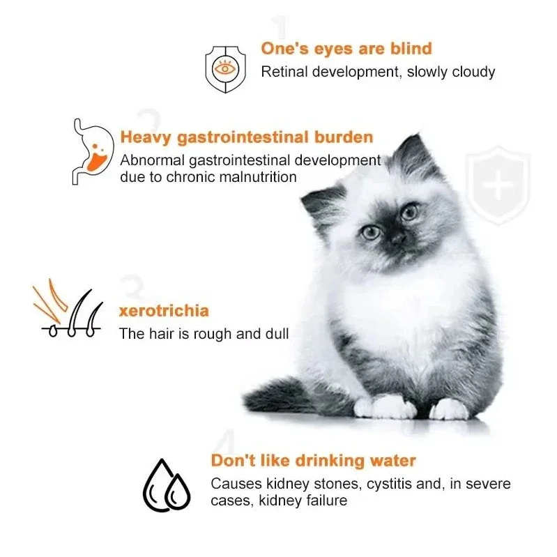 10 stks Kat Strips Huisdier Sn - Snacks Food Labels recensie en prijs