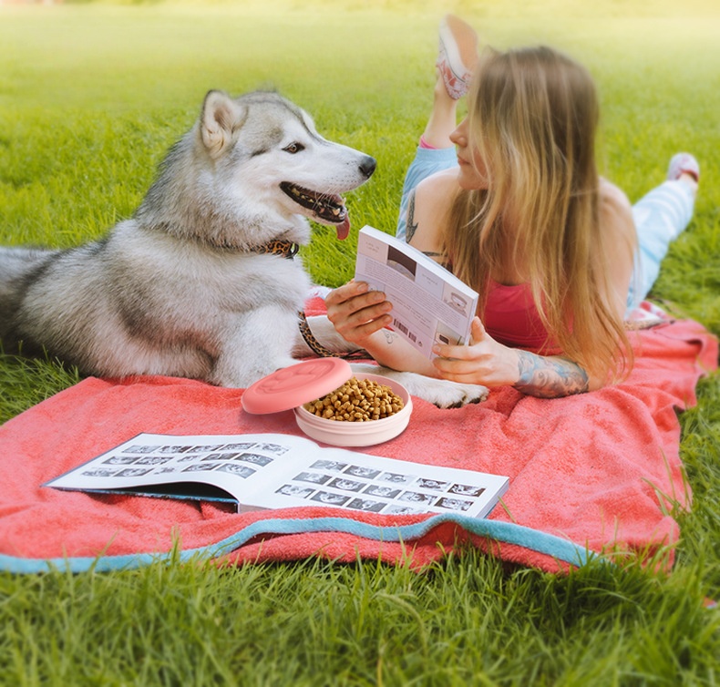 Nieuwe multifunctionele draagb - Food Snacks For Hiking recensie en prijs