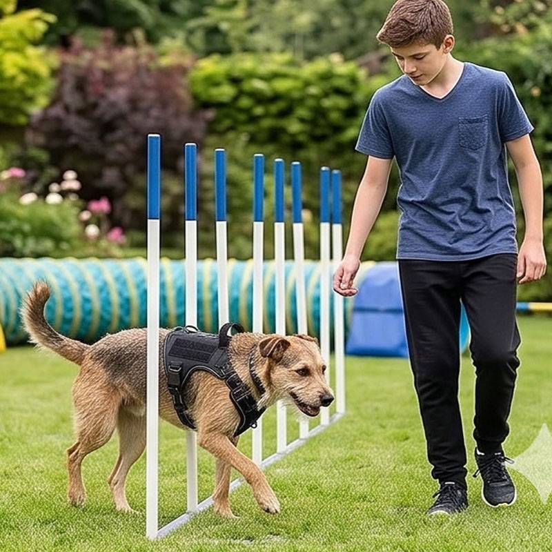 Universele Vesttuig Hondenvoer - Food Snacks For Hiking recensie en prijs