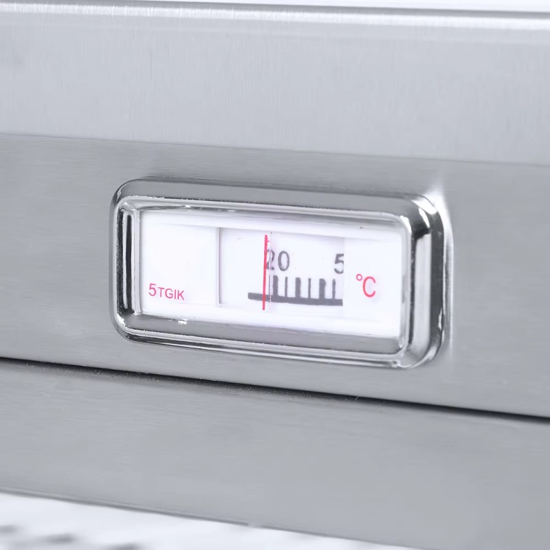 Aanrechtmodel warme gerechten  - Snacks Food Warmer recensie en prijs
